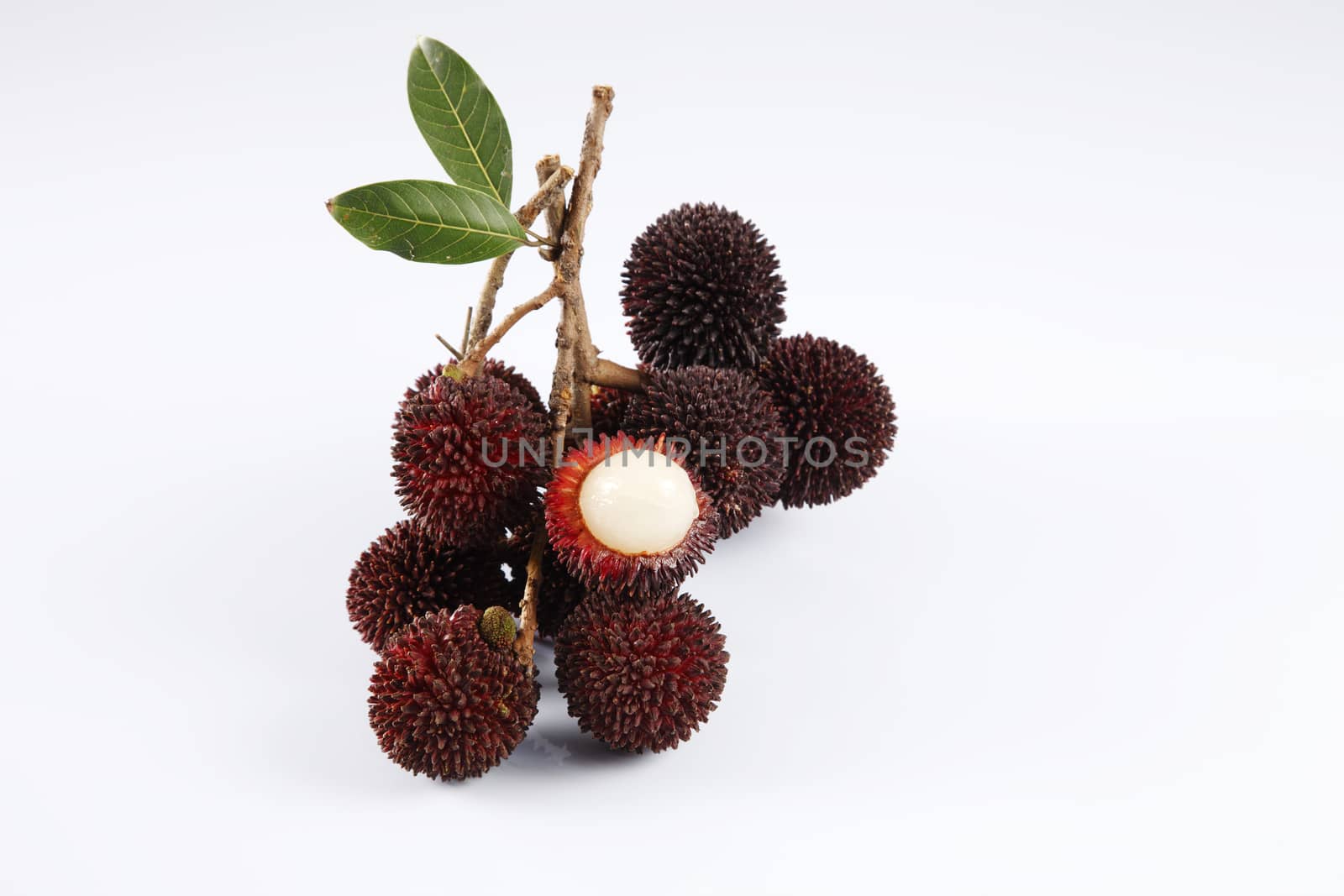 Pulasan or kapulasan fruit by eskaylim