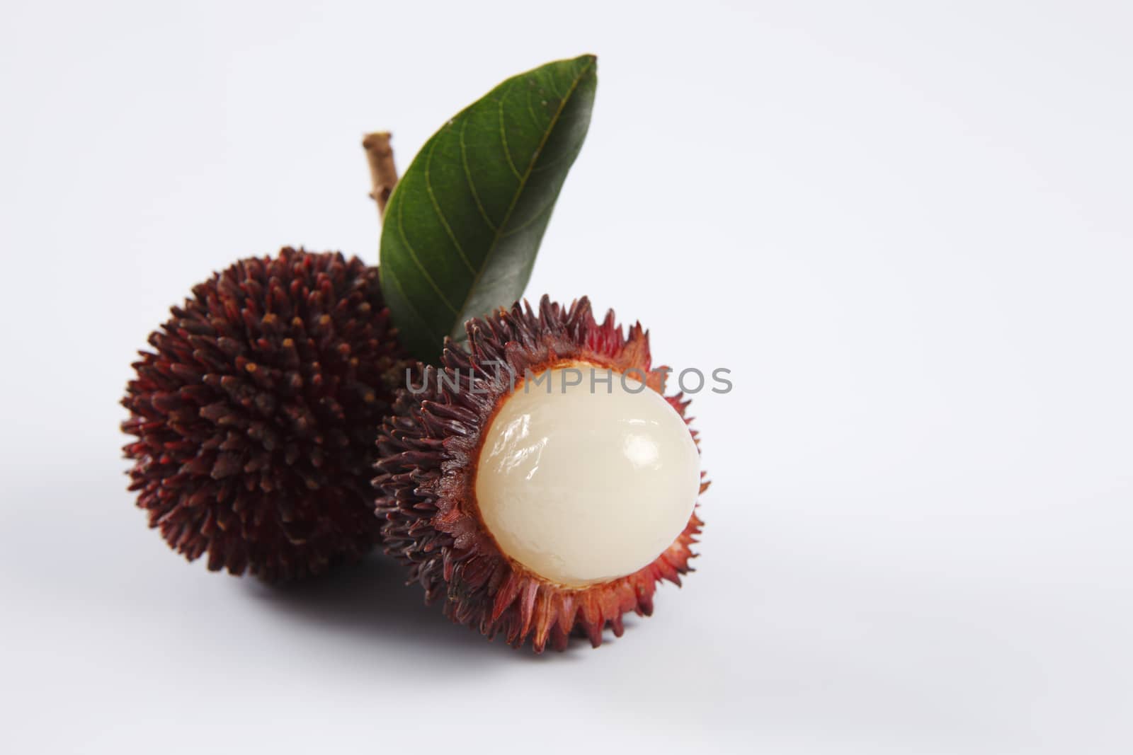 pulasan  thick skin or wild rambutan on the white background