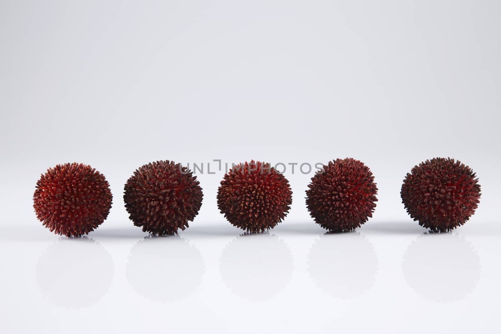 pulasan  thick skin or wild rambutan on the white background