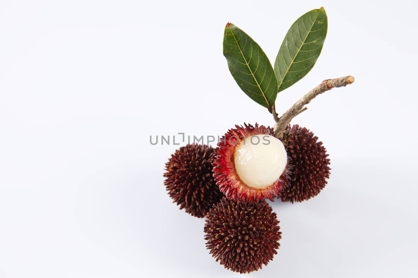 pulasan  thick skin or wild rambutan on the white background