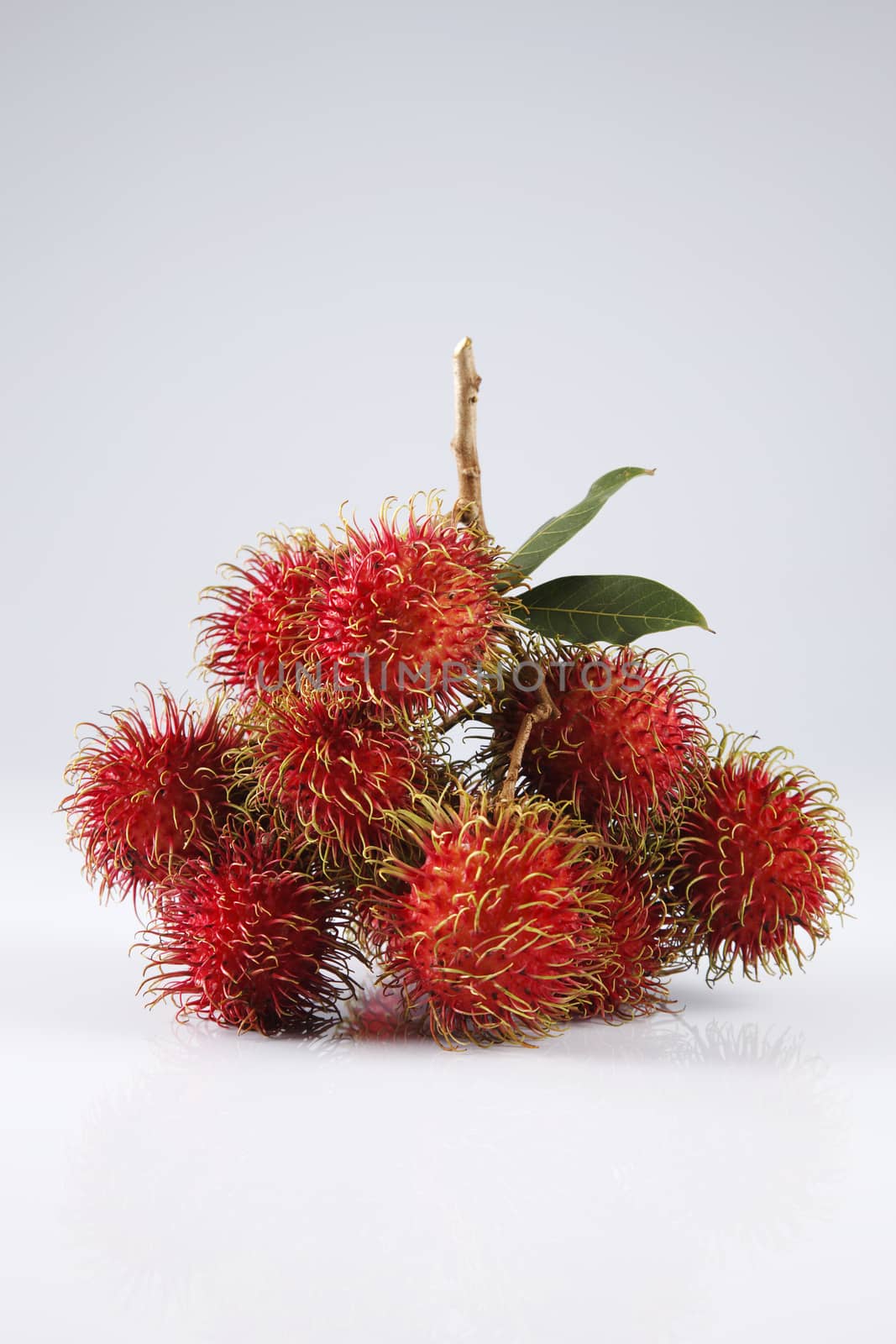 asian fruit rambutan on the plain background