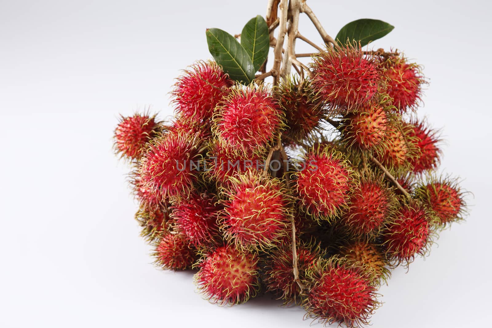 asian fruit rambutan on the plain background