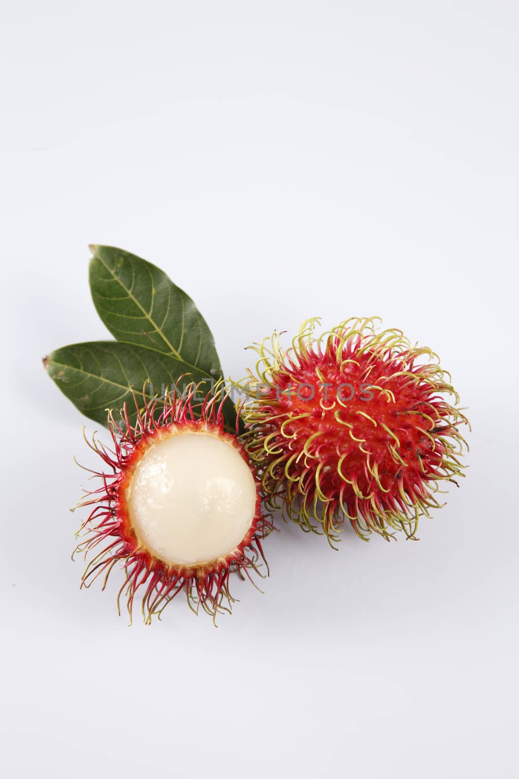 asian fruit rambutan on the plain background