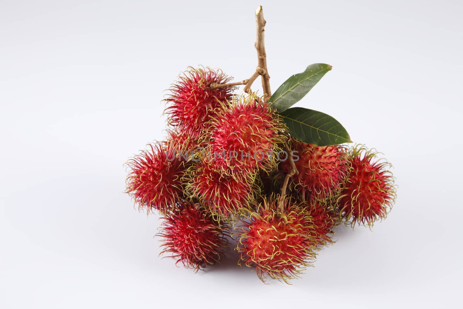 asian fruit rambutan on the plain background