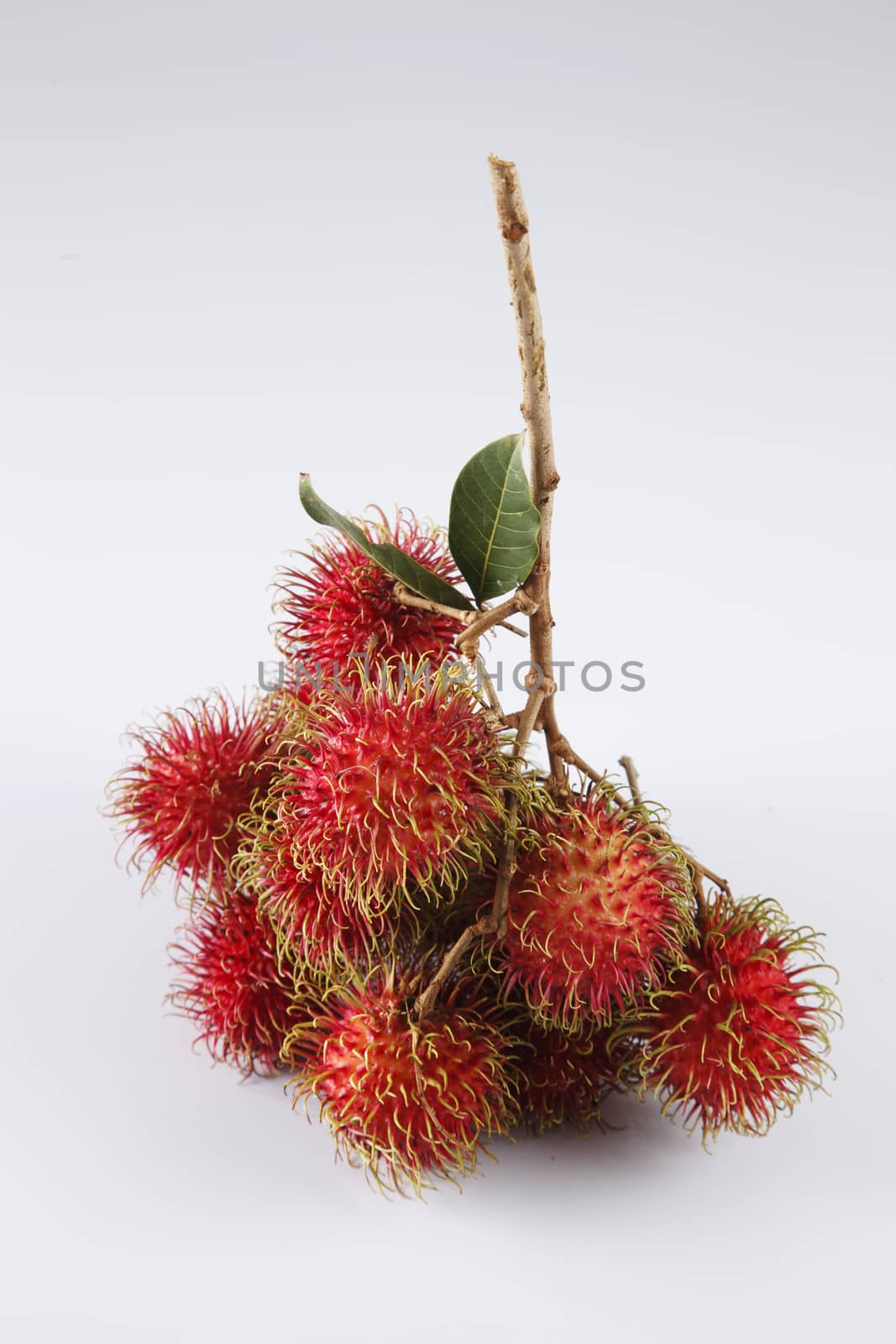 rambutan by eskaylim