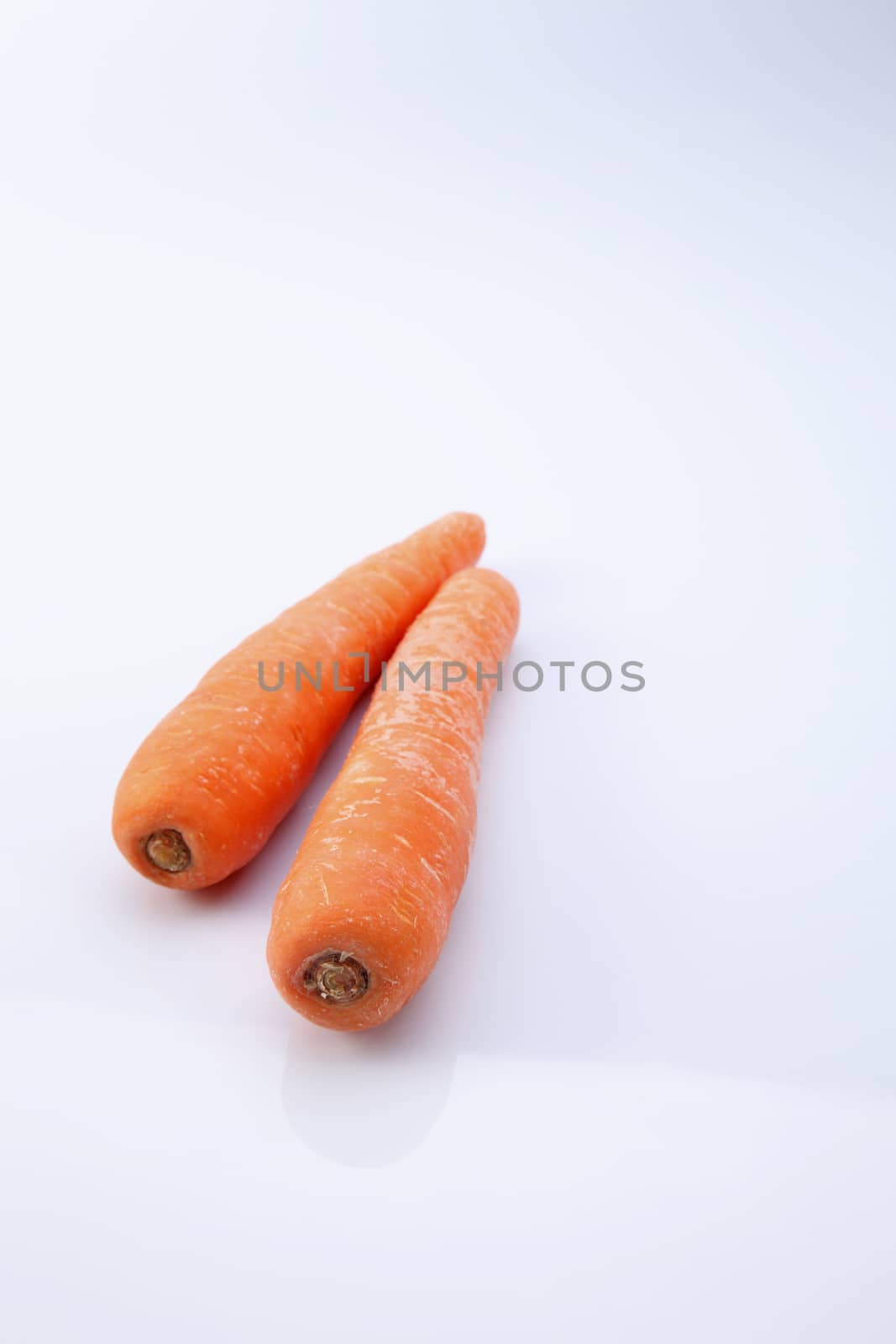 fresh carrot on the white background