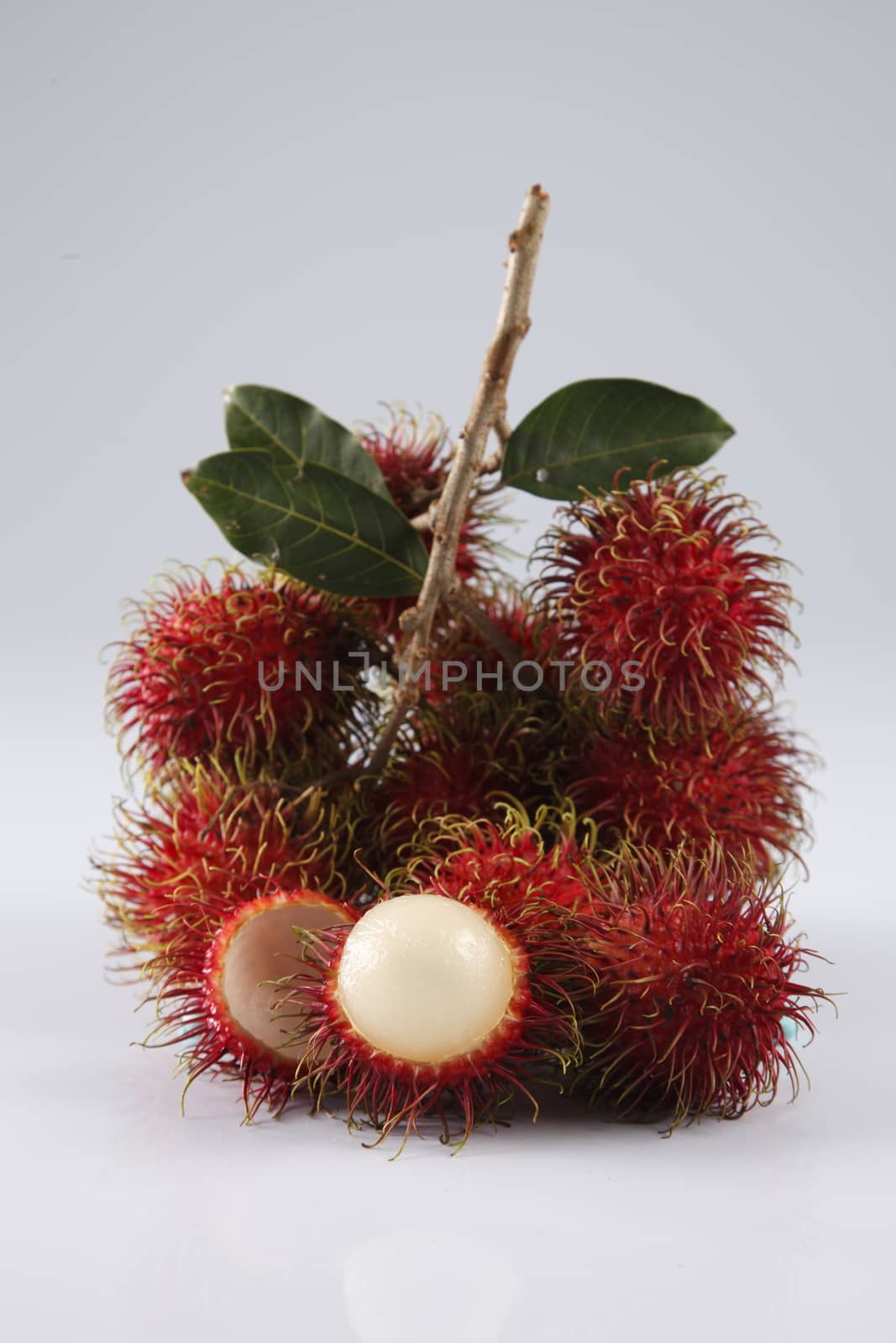 asian fruit rambutan on the plain background