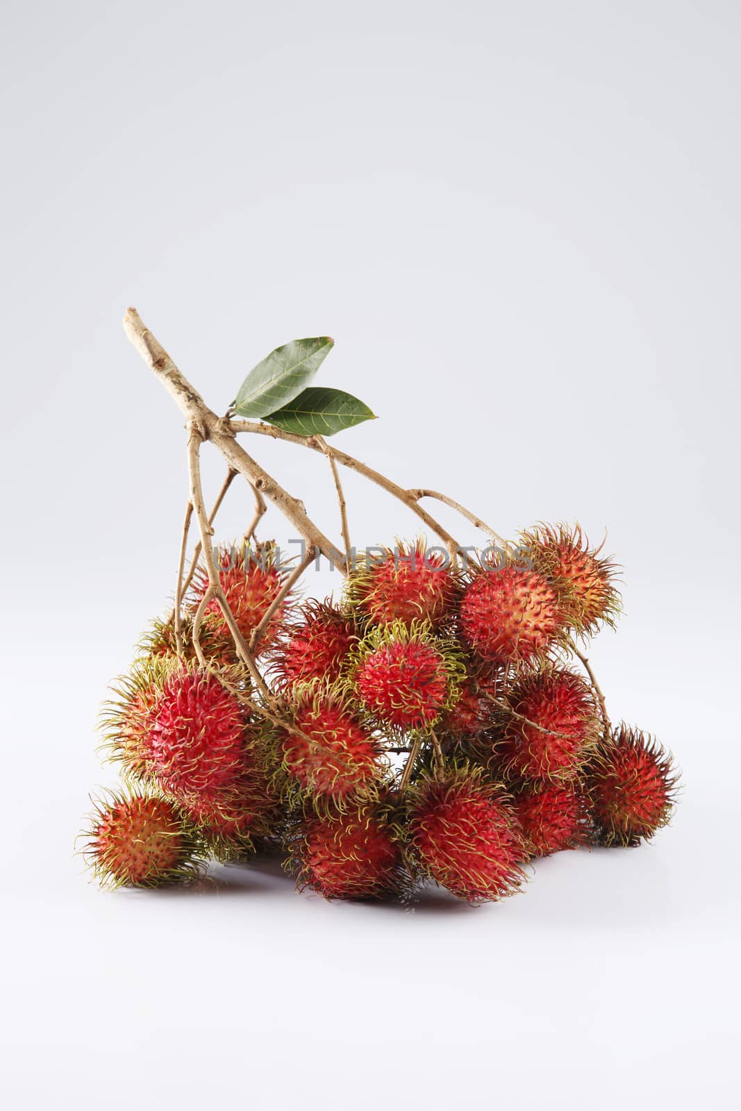 asian fruit rambutan on the plain background