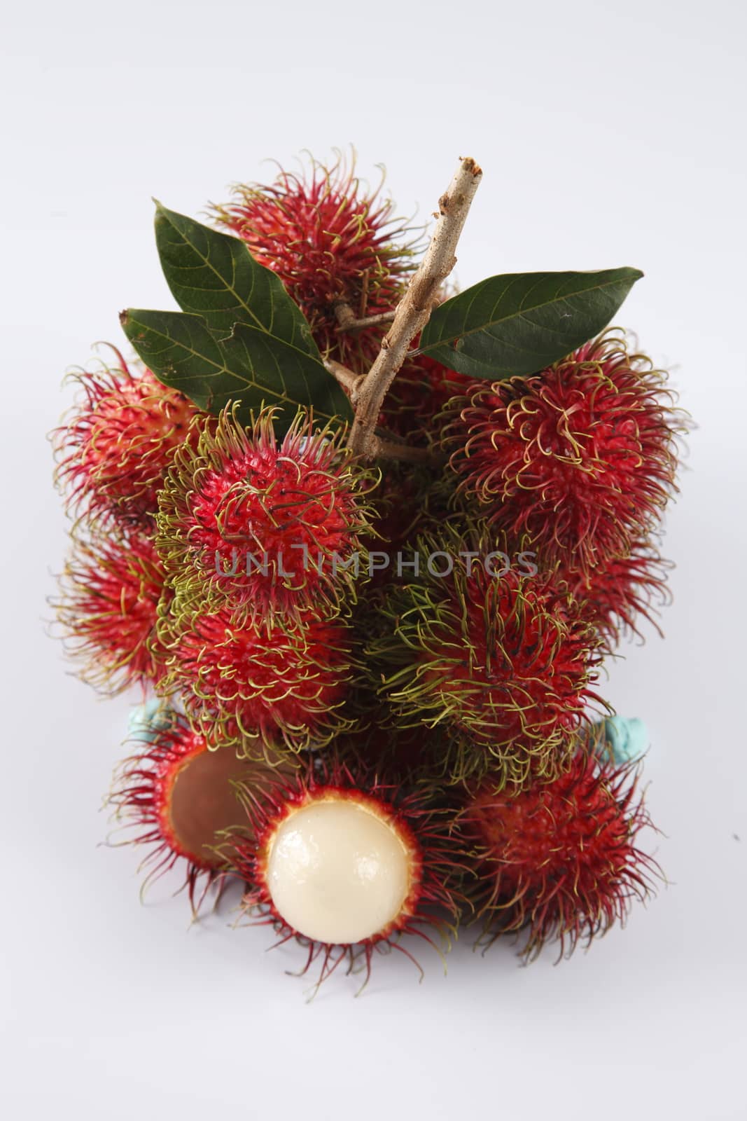 asian fruit rambutan on the plain background