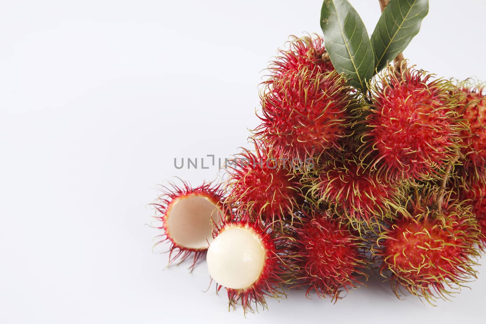 asian fruit rambutan on the plain background