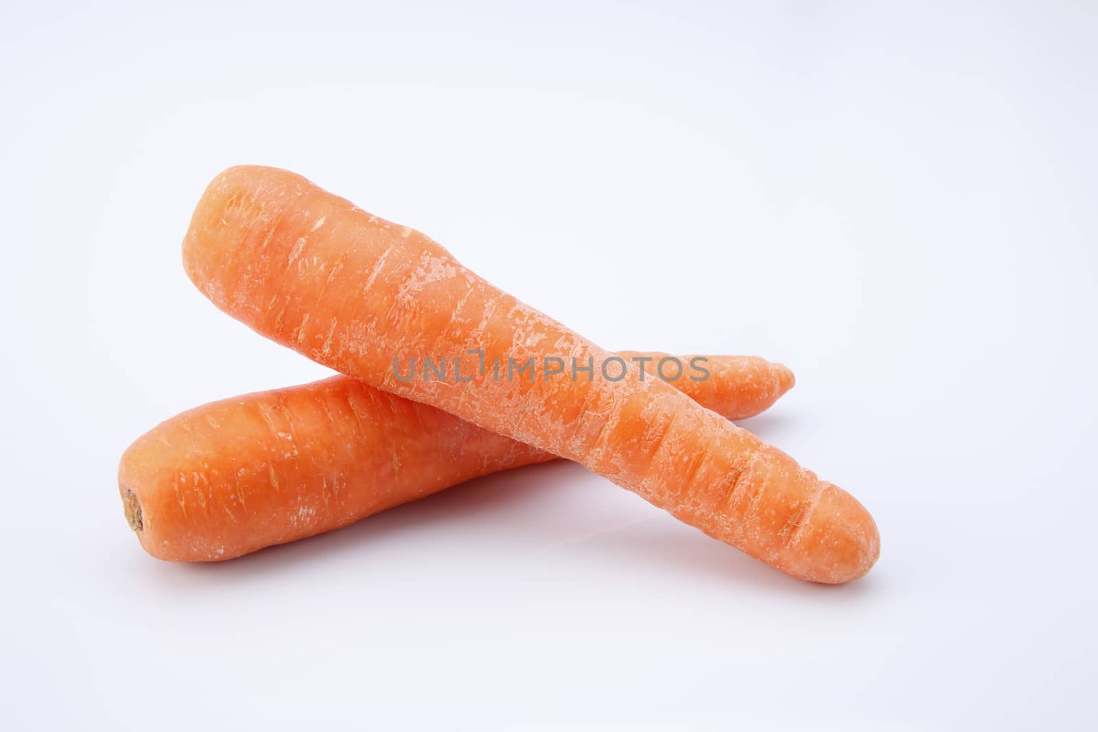 fresh carrot on the white background