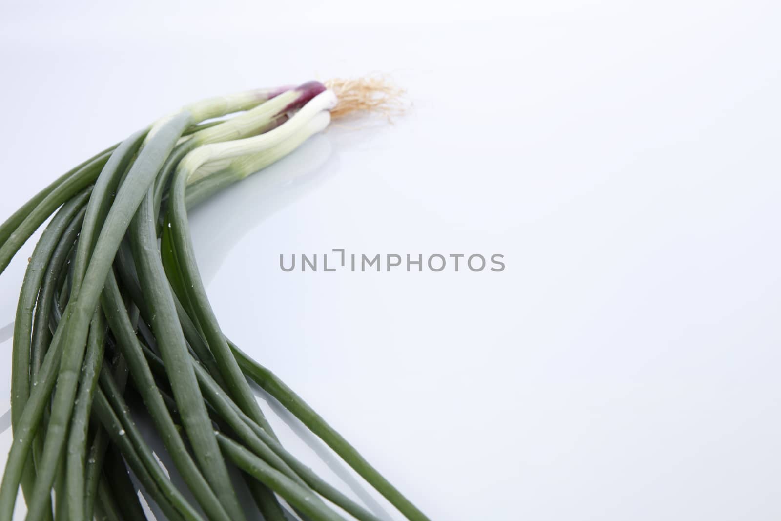 Spring Onions on White Background