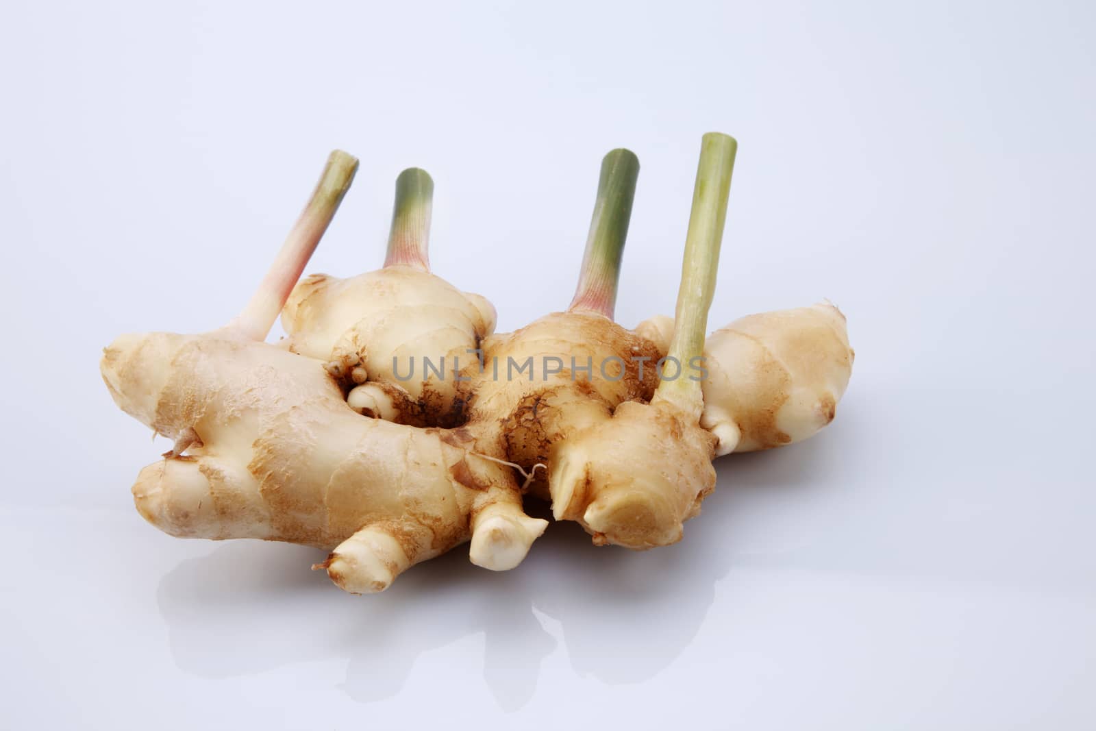 bunch of ginger root on the white background