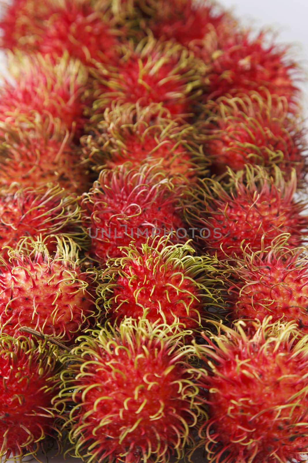 asian fruit rambutan on the plain background