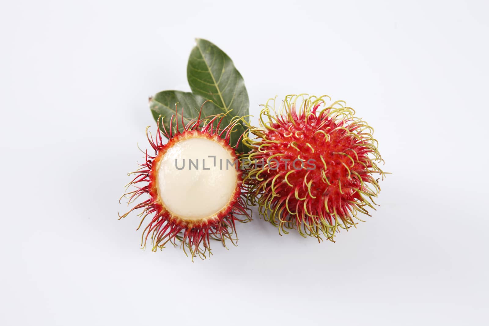 asian fruit rambutan on the plain background