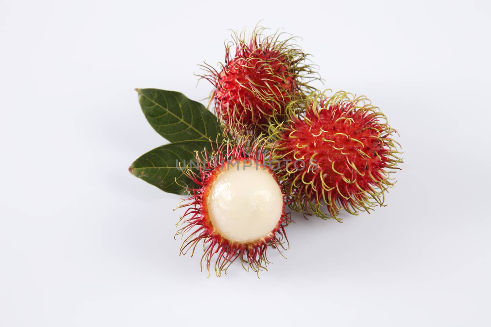 asian fruit rambutan on the plain background