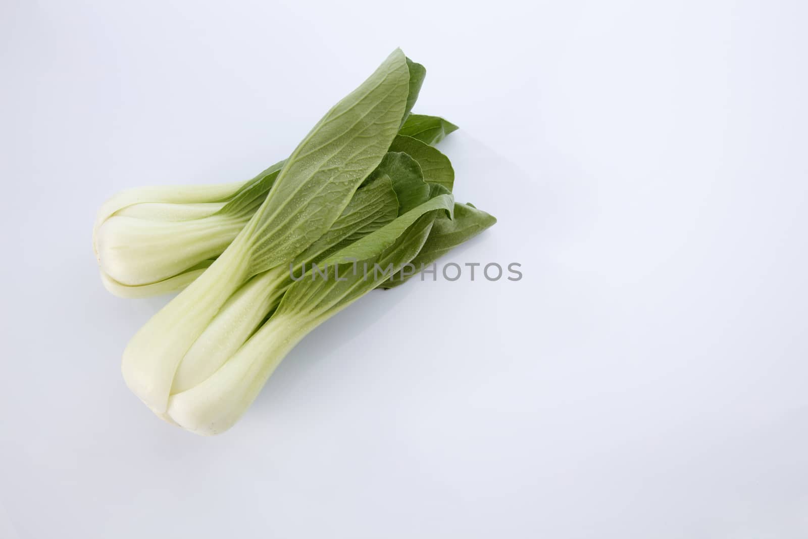 Bok choy isolated on white