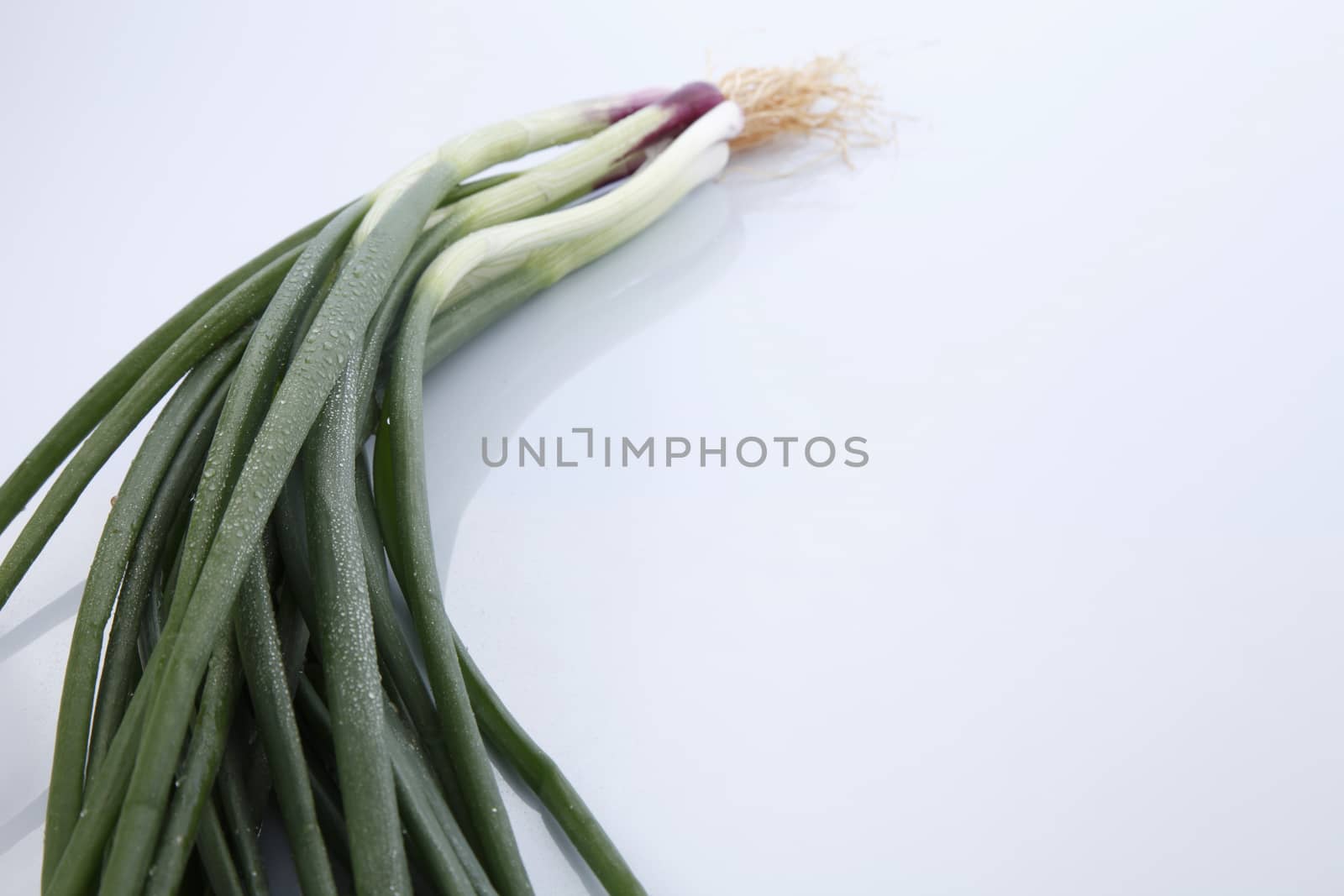 spring onion by eskaylim