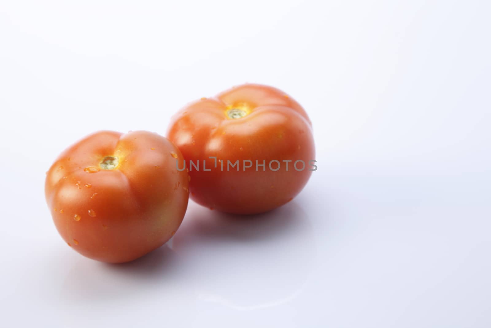 tomatoes on the white backgrond