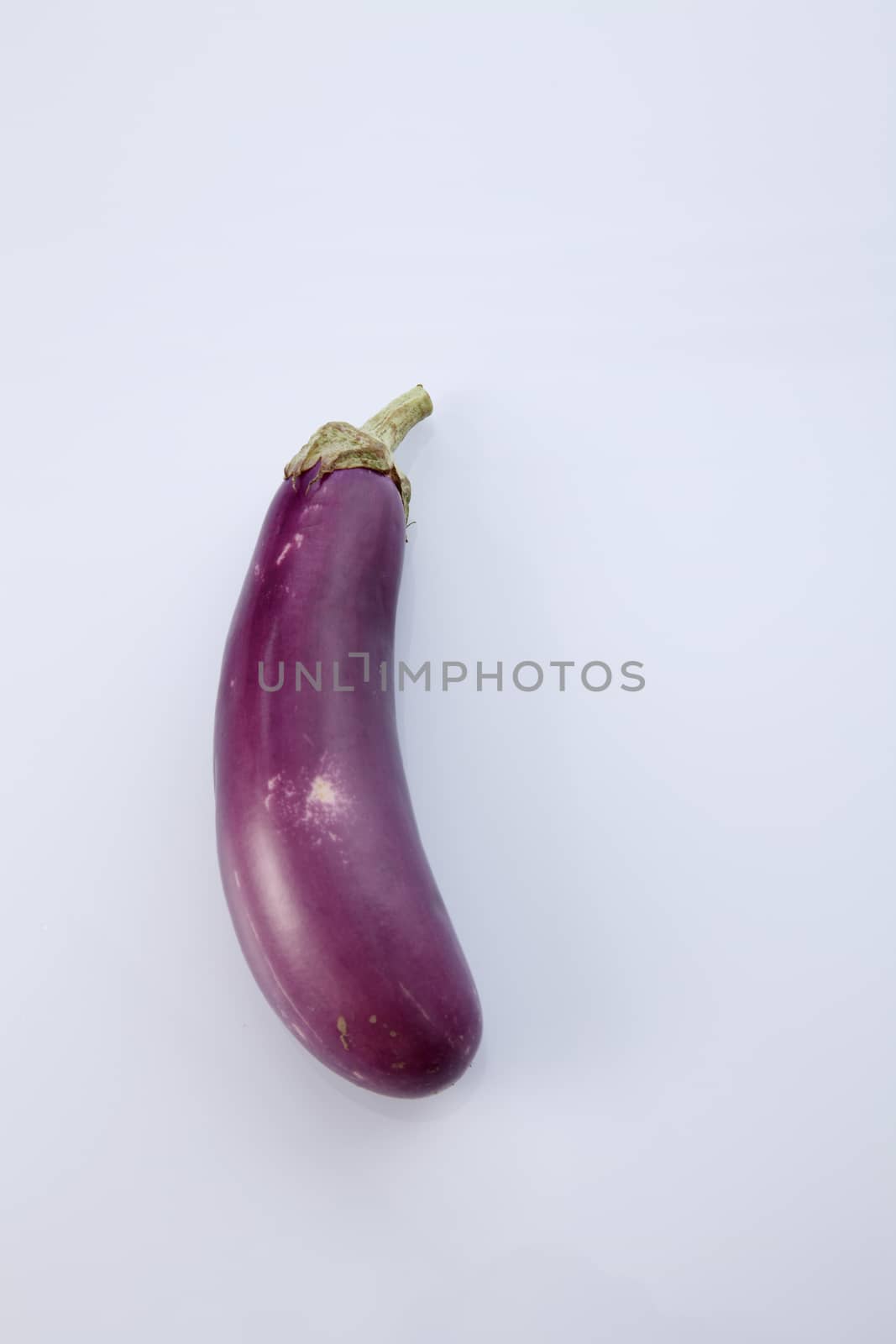 Brinjal isolated on white background