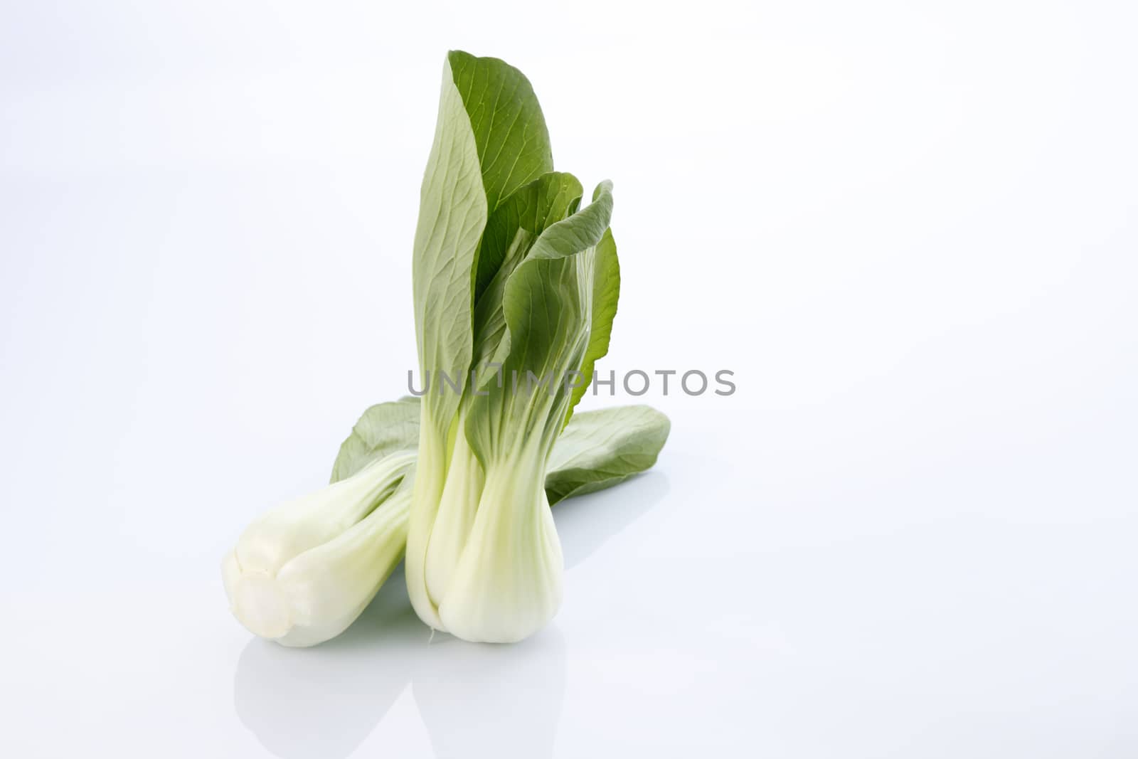 Bok choy isolated on white