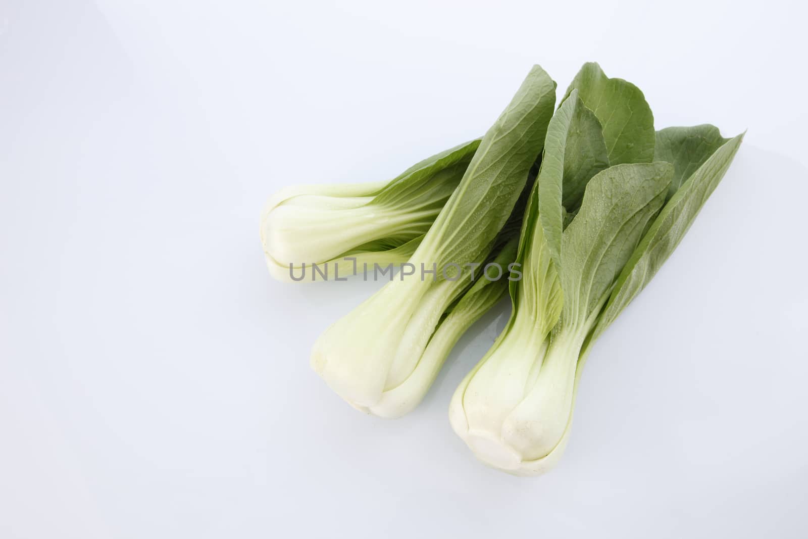 Bok choy isolated on white