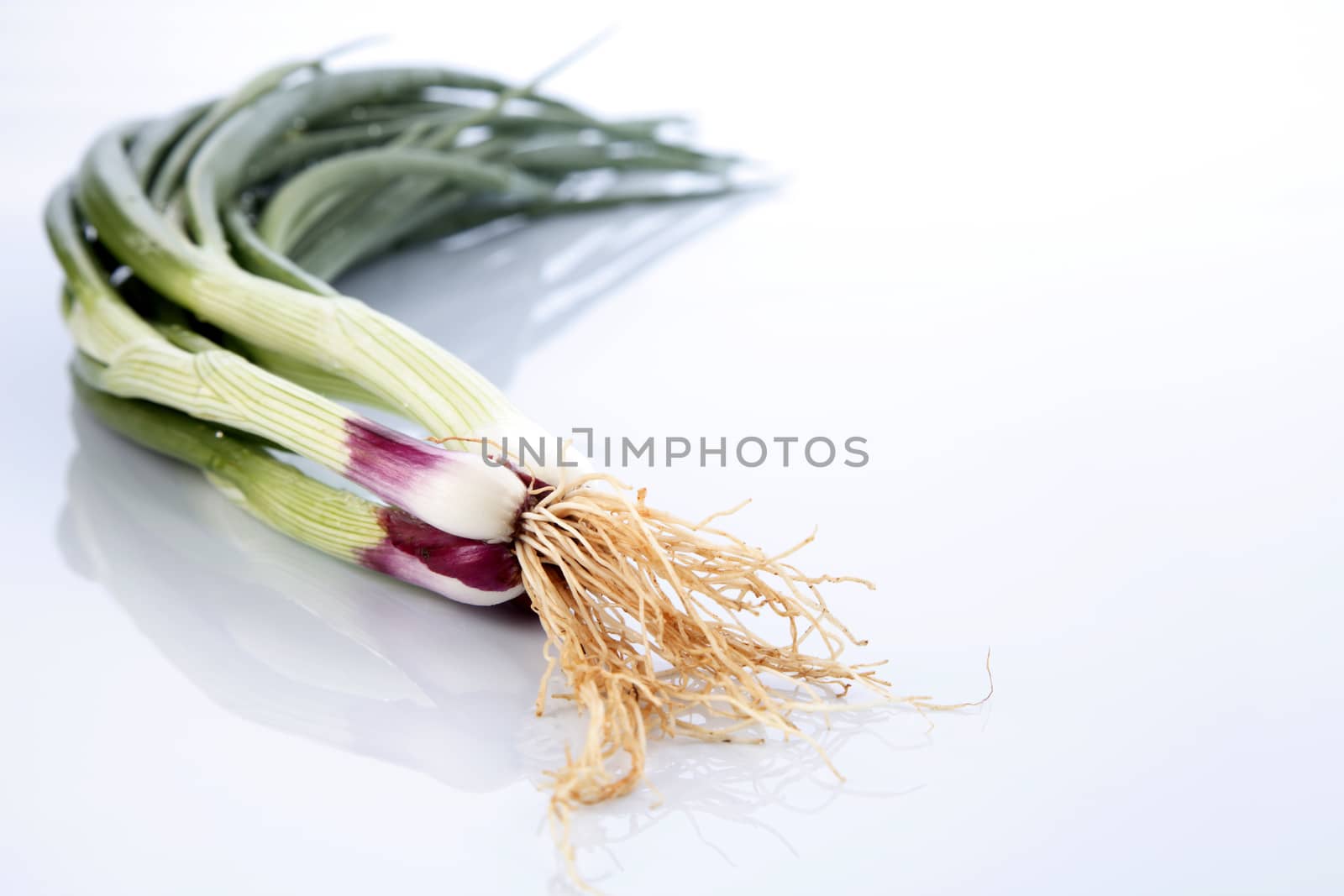 spring onion by eskaylim