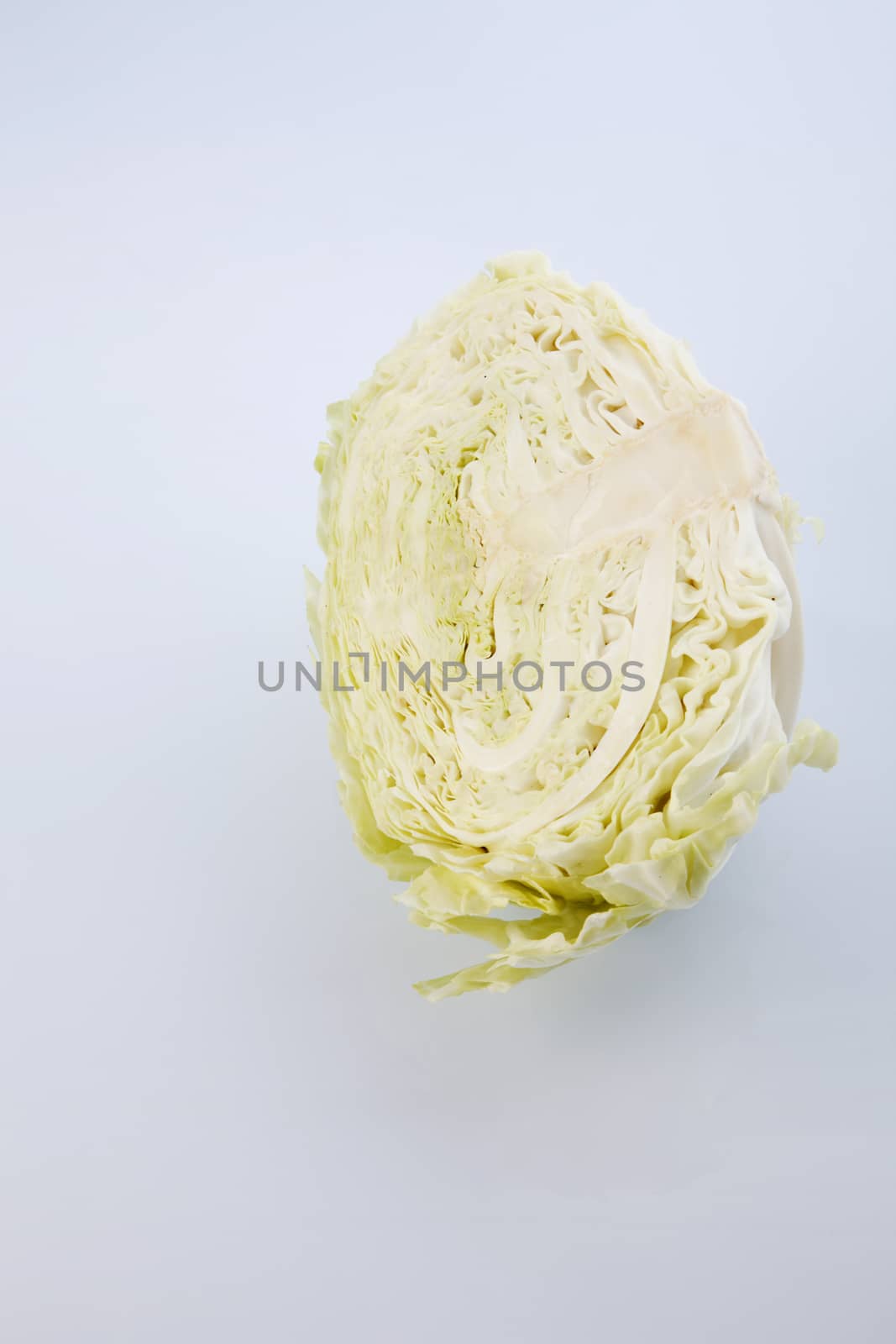 Cabbage cut in half isolated on white background