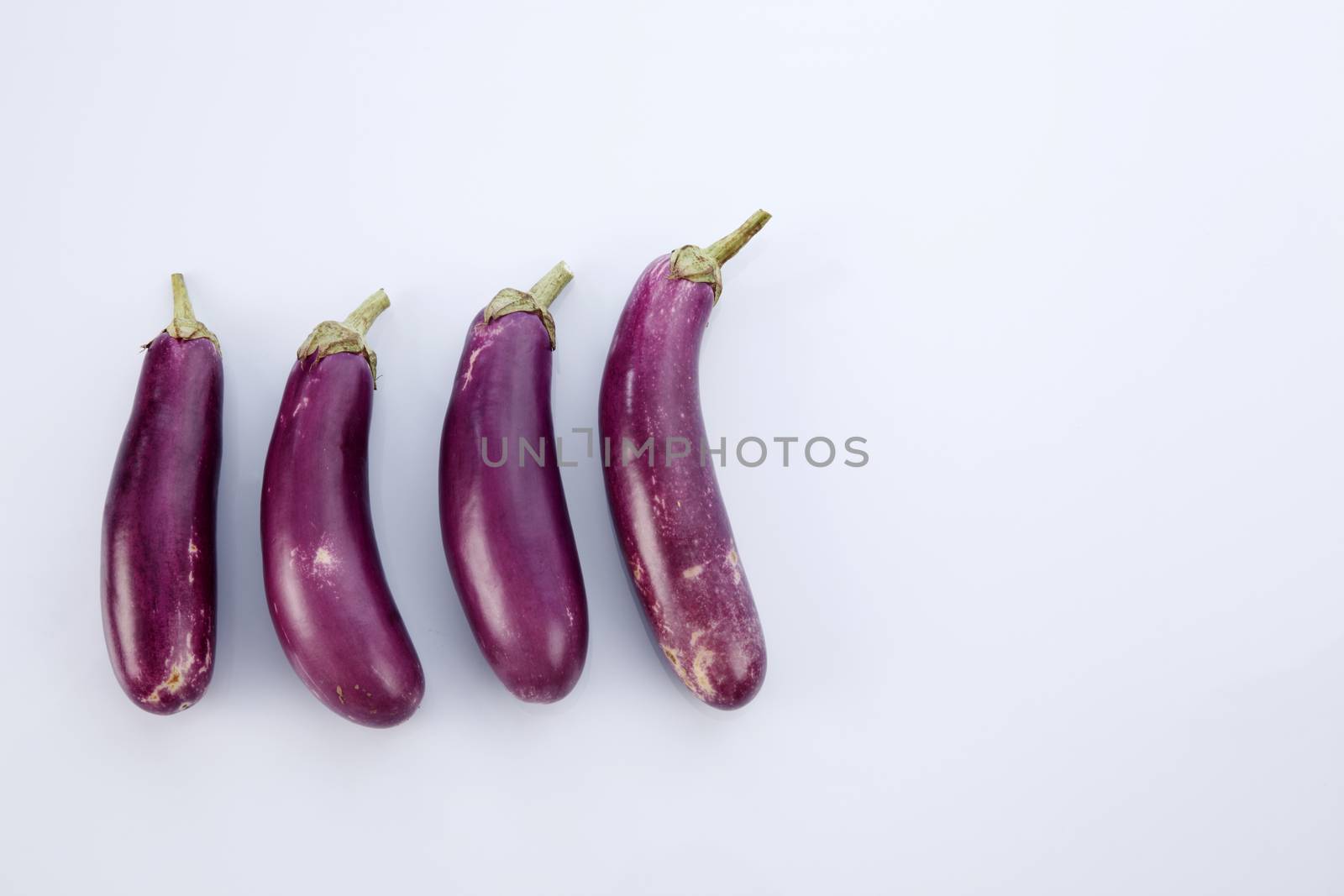 Brinjal isolated on white background