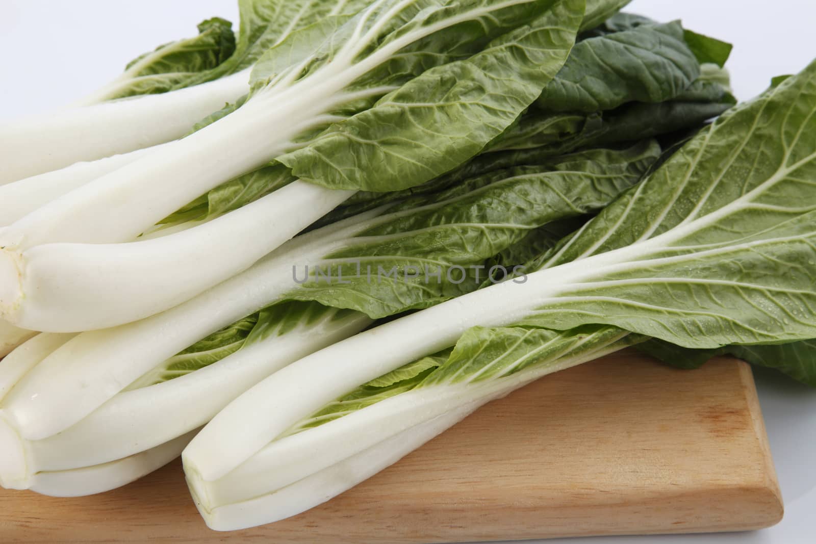 pak choy (chinese cabbage) isolated on white