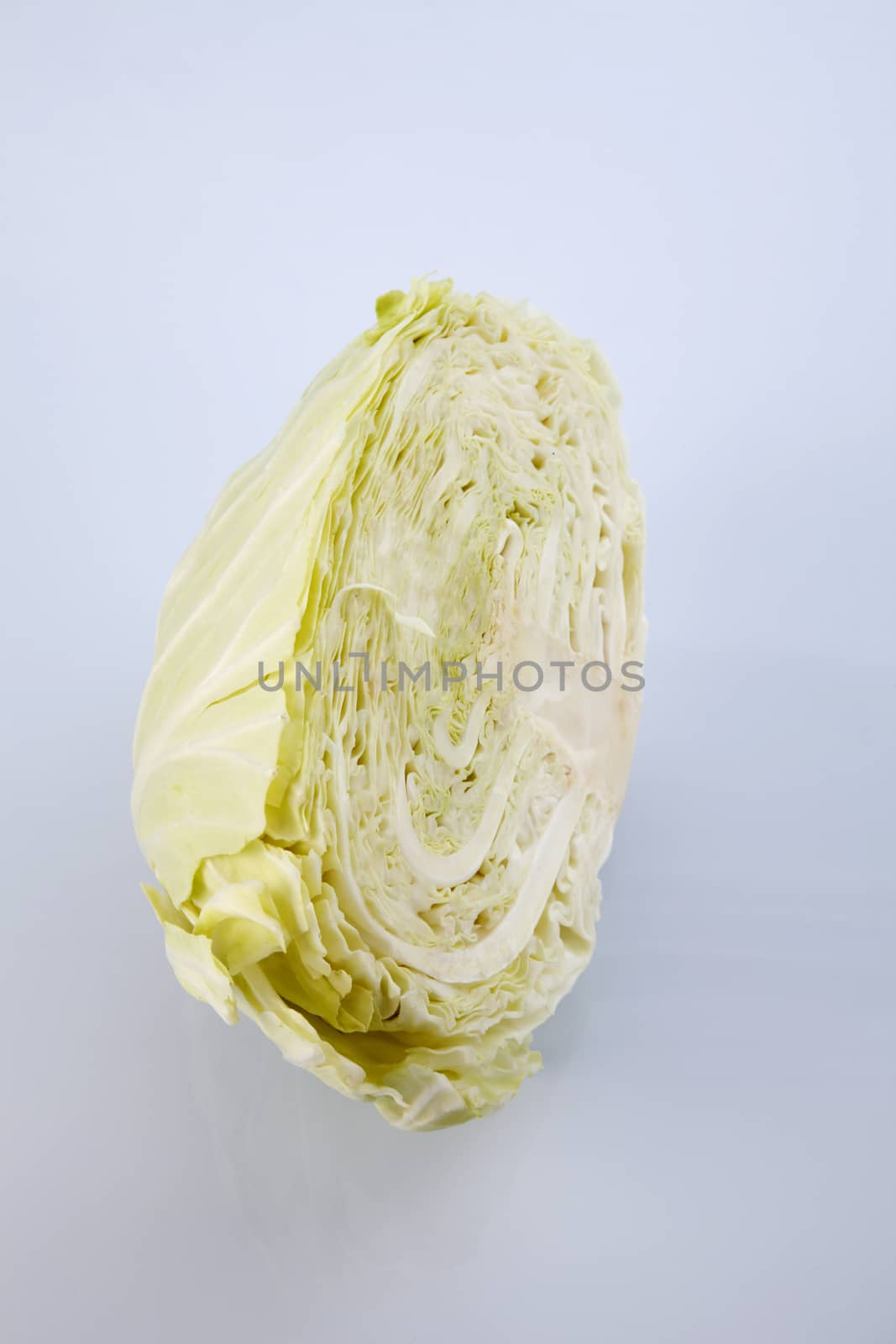 Cabbage cut in half isolated on white background