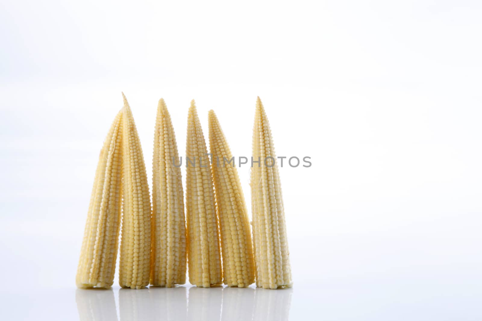 Baby corn on a white background, close-up