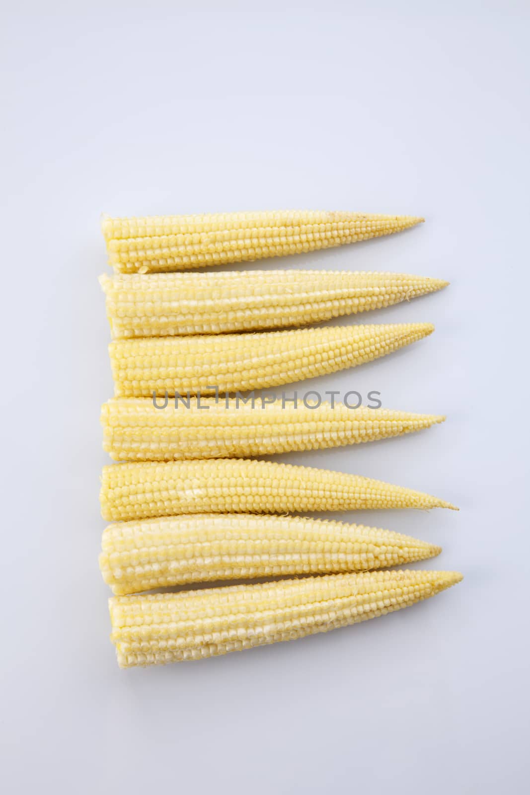 Baby corn on a white background, close-up