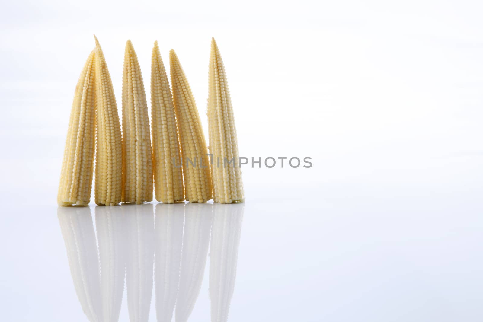 Baby corn on a white background, close-up