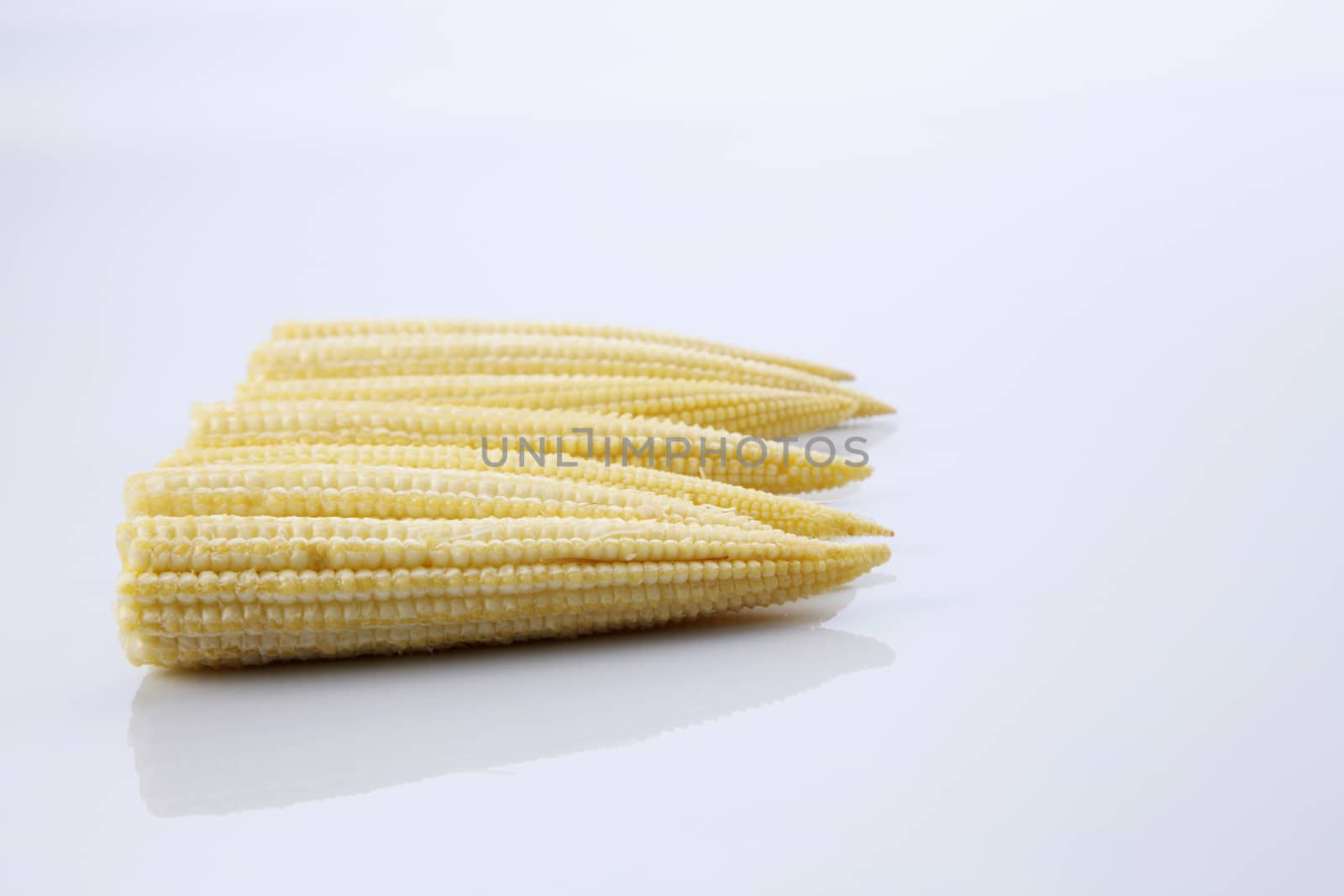 Baby corn on a white background, close-up