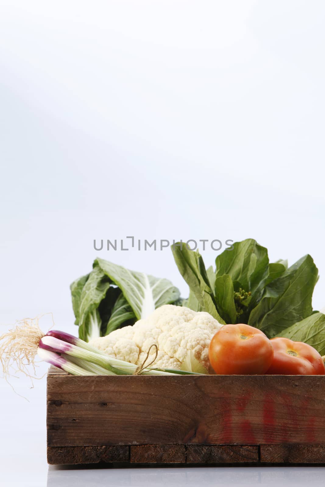 vegetables group by eskaylim