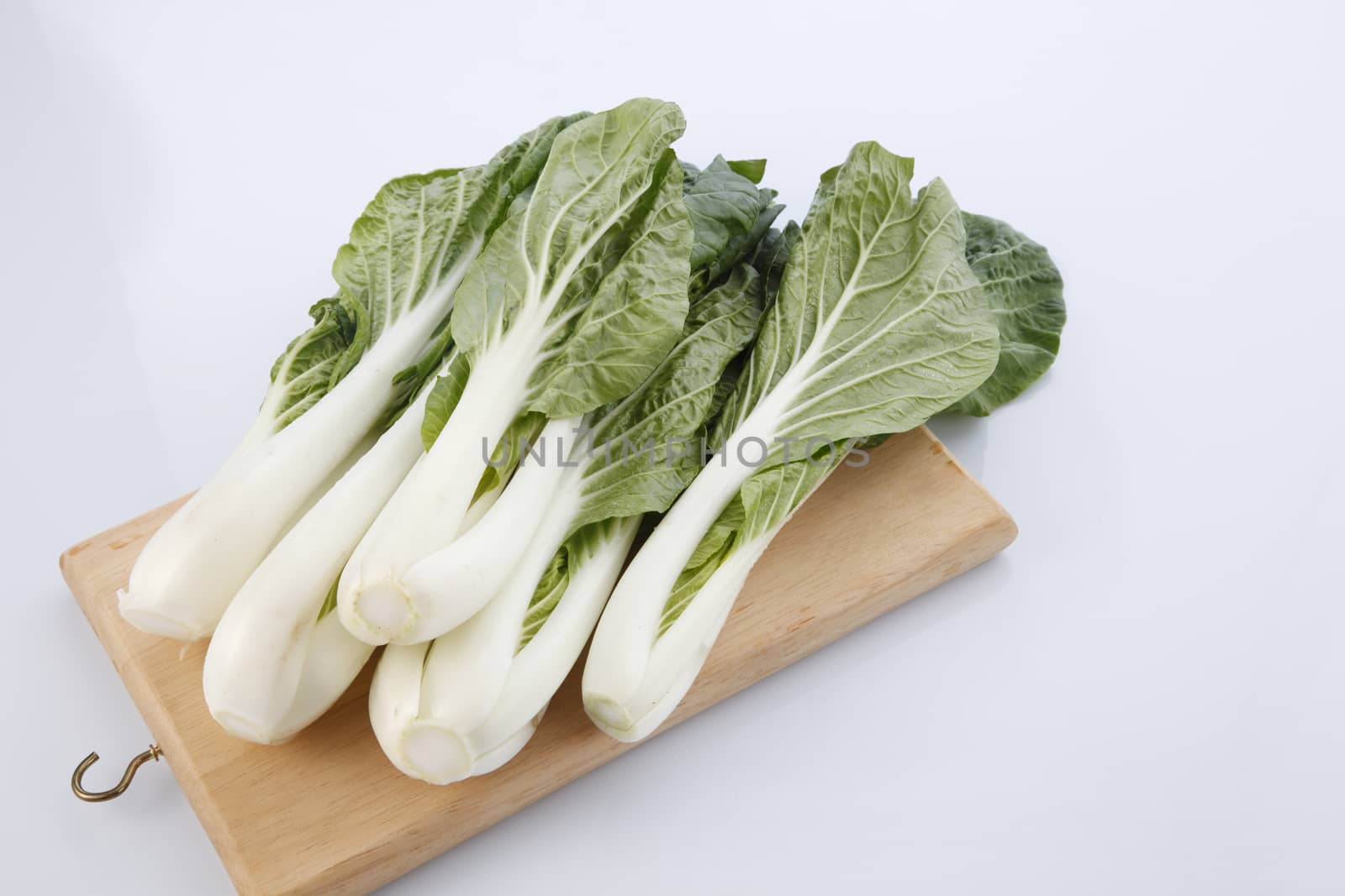 pak choy (chinese cabbage) isolated on white