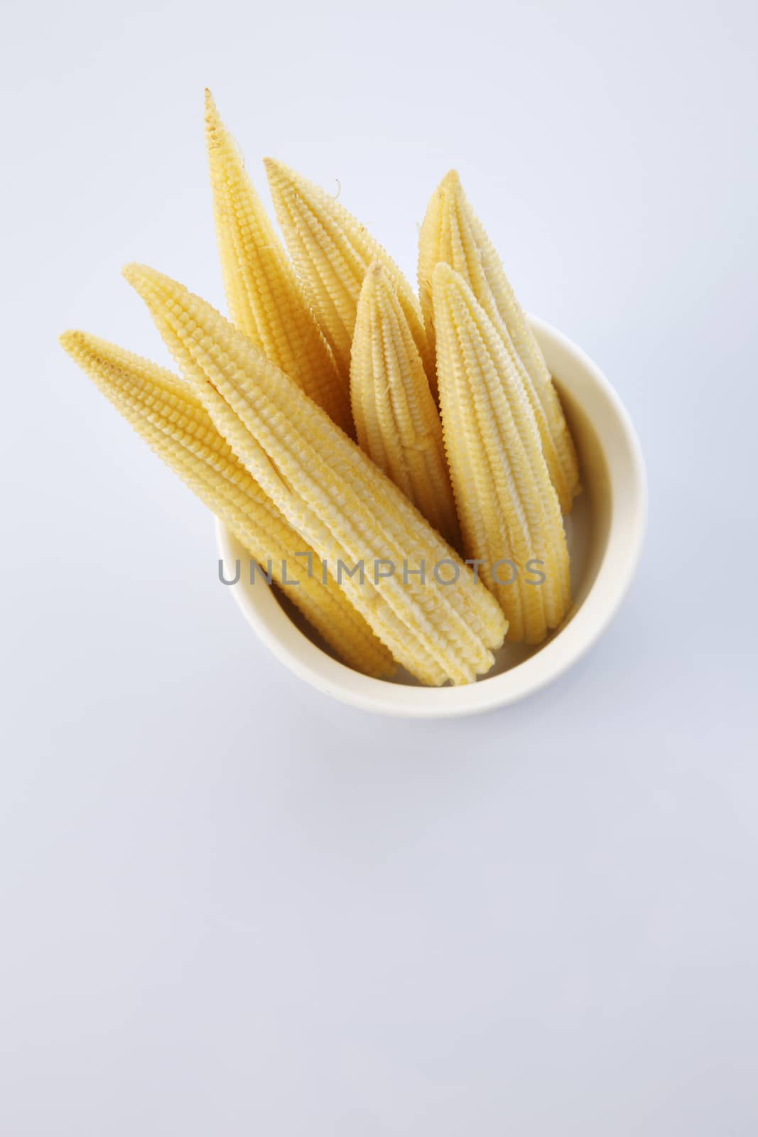 Baby corn on a white background, close-up