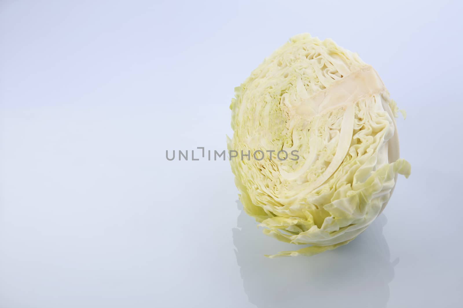 cabbage by eskaylim