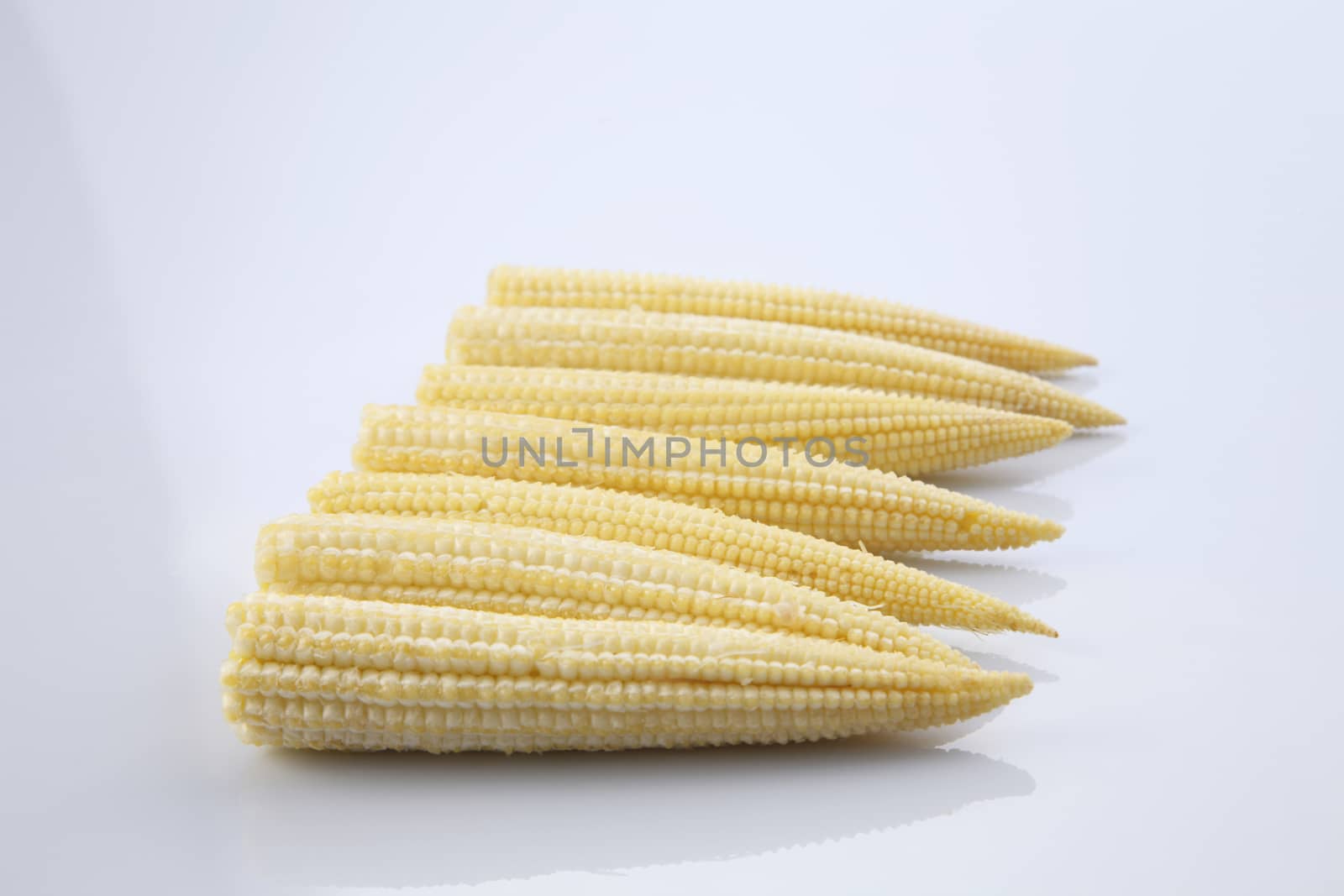 Baby corn on a white background, close-up