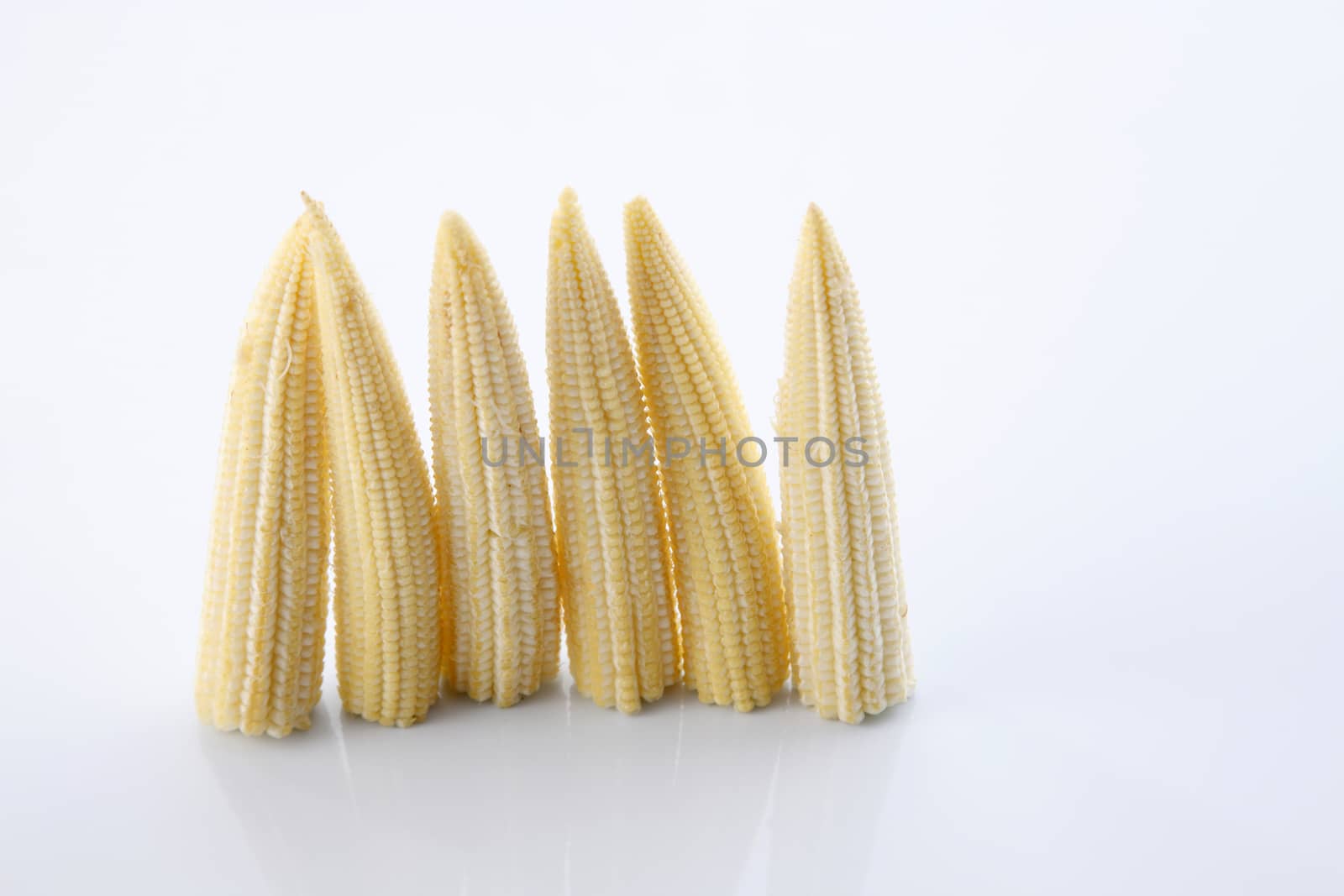 Baby corn on a white background, close-up