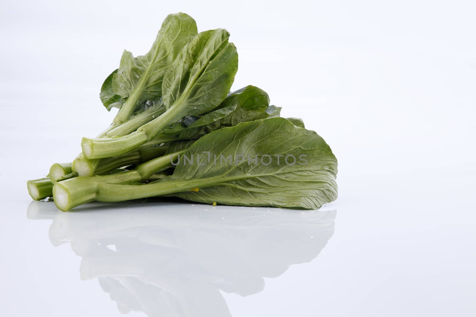 Chinese mustard green on white background