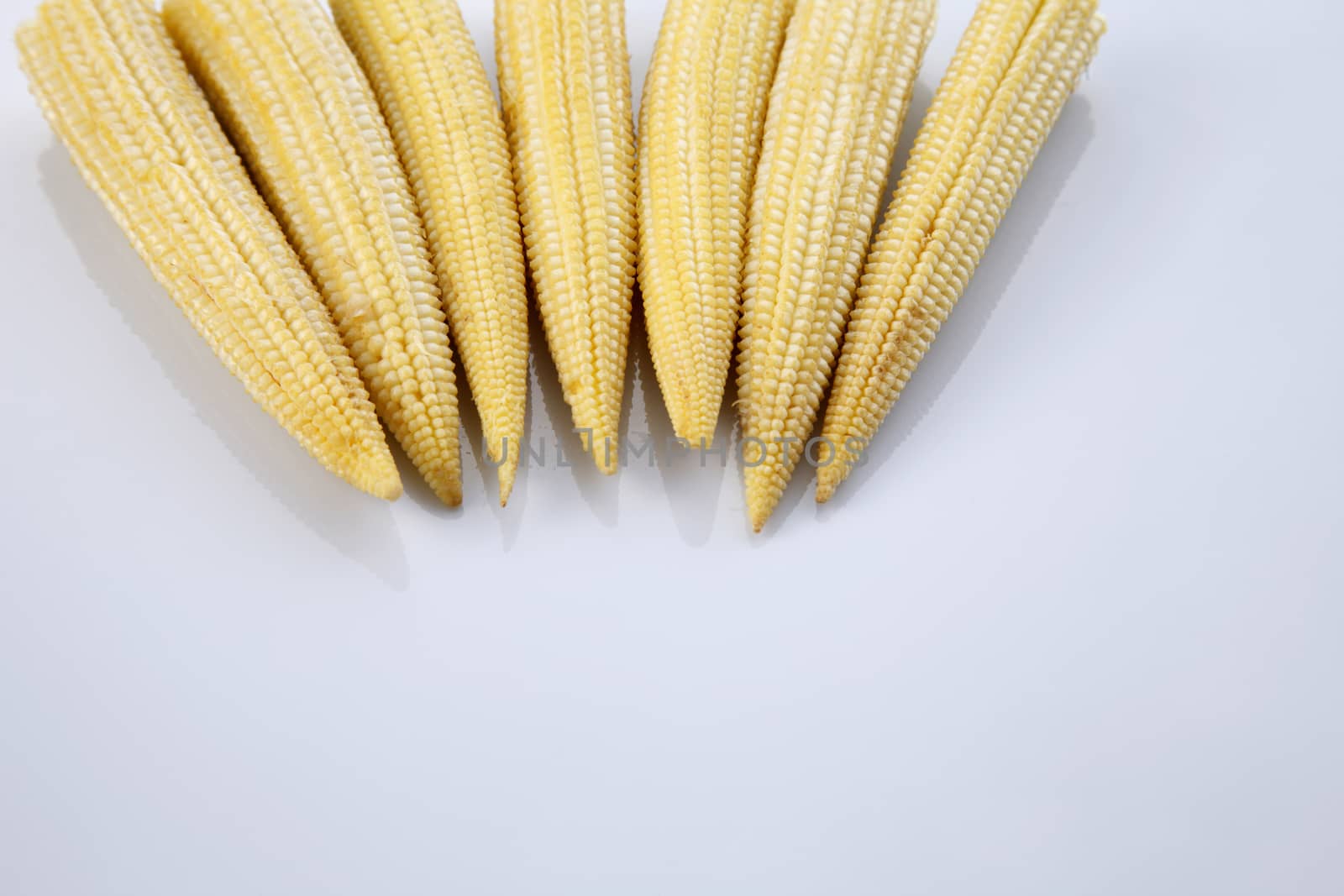 Baby corn on a white background, close-up