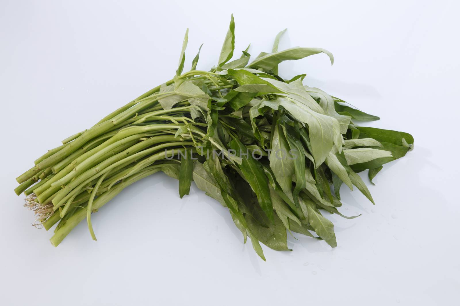 Water spinach isolated on white background