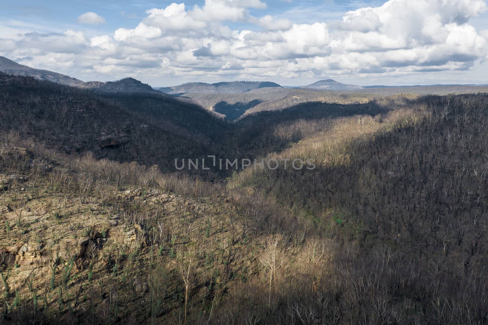 Aerial view of forest regeneration after severe bushfires in The Blue Mountains in Australia