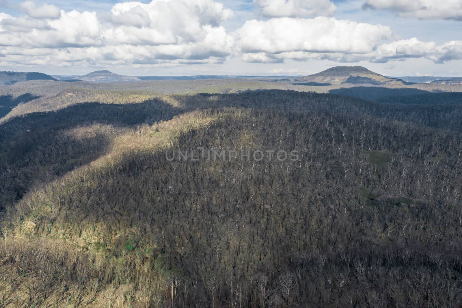 Aerial view of forest regeneration after severe bushfires in Australia by WittkePhotos