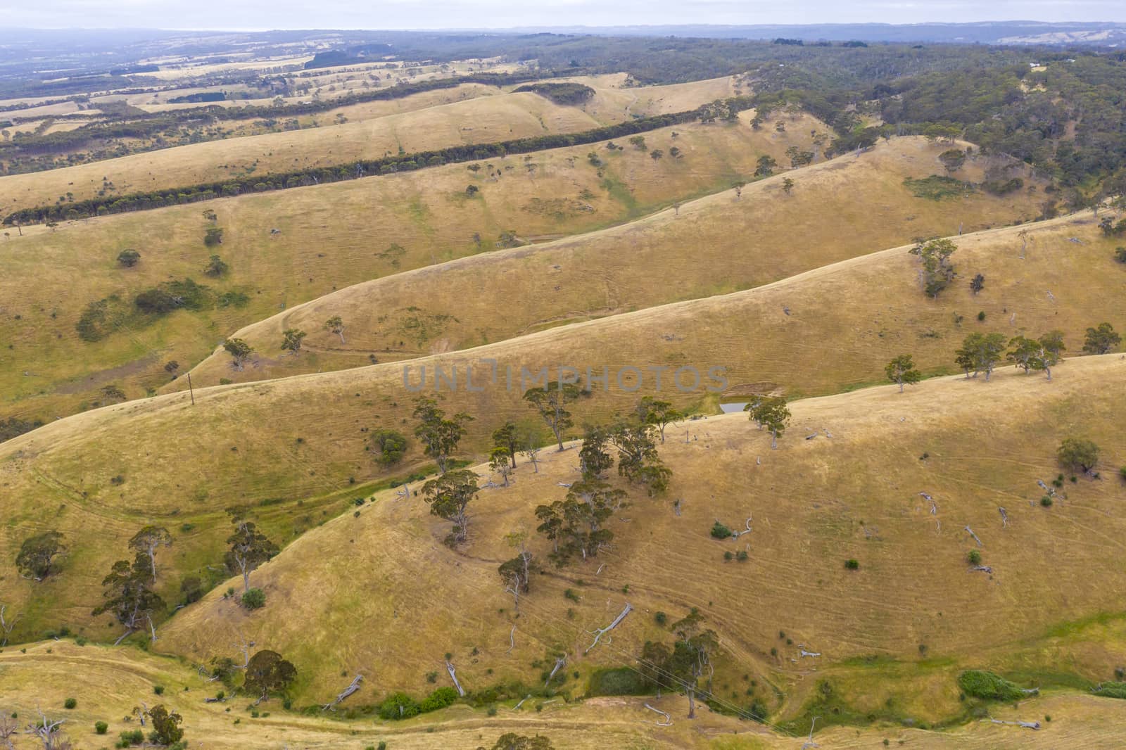 Aerial view of rolling green hills in regional Australia