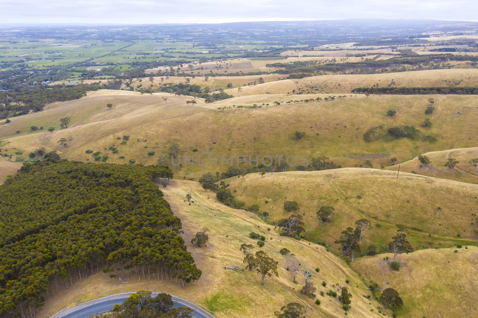 Aerial view of rolling green hills in regional Australia