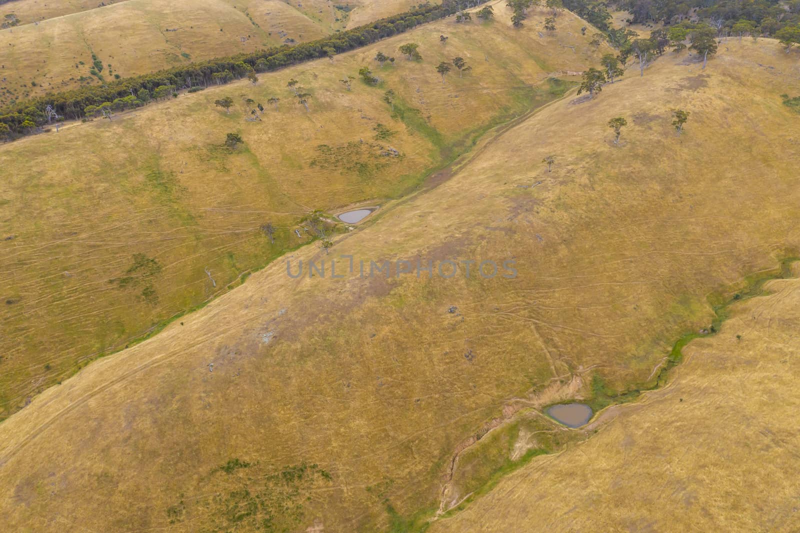 Aerial view of rolling green hills in regional Australia by WittkePhotos