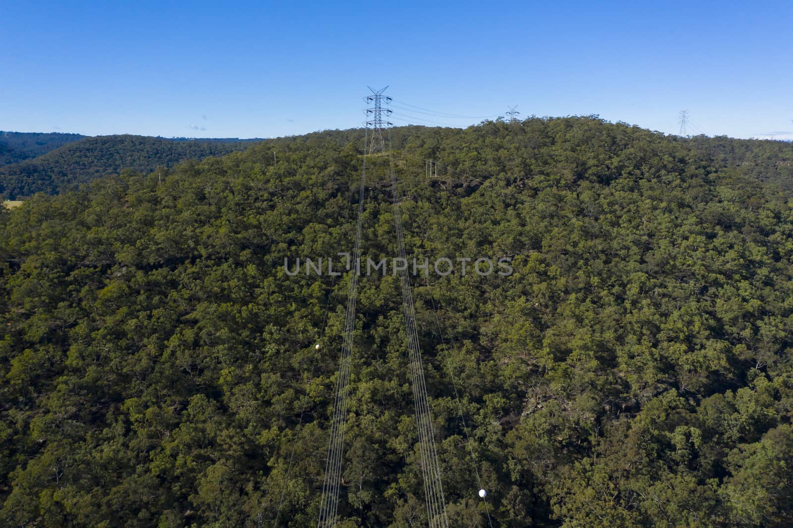 An electricity transmission tower and cables across a forest by WittkePhotos